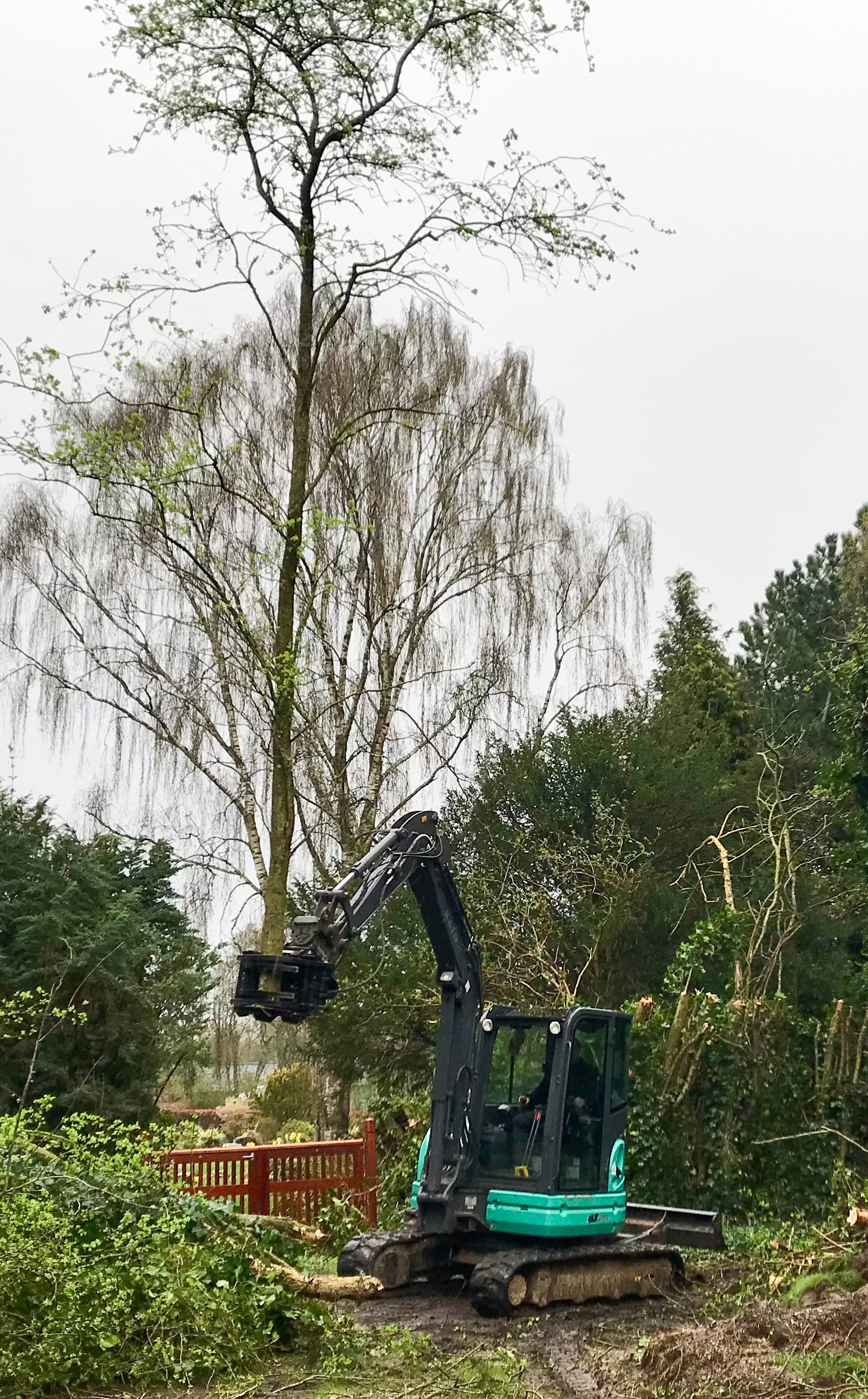 Med en gravemaskine med klippehoved kan vi nænsomt beskære eller fjerne buske og træer, også dem på vanskelige steder.